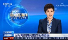 邓为最新爆料新闻报道,揭秘事件背后惊人真相